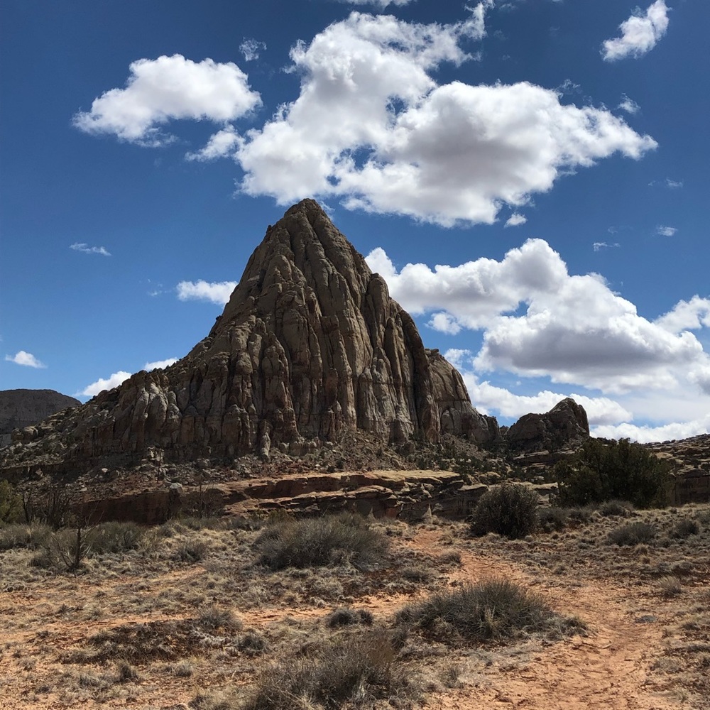 Meet your Posher, Karrie